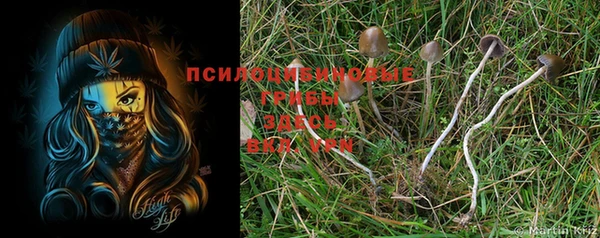 меф Няндома