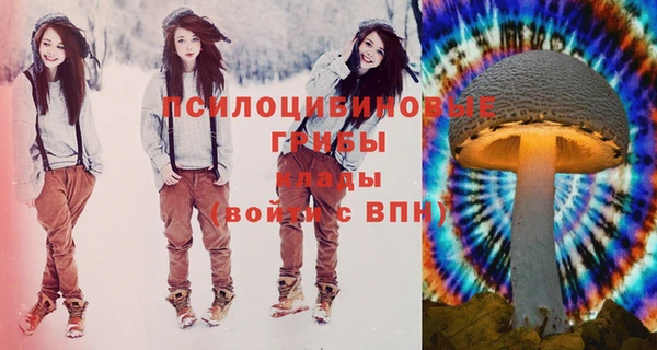 МДПВ Новозыбков