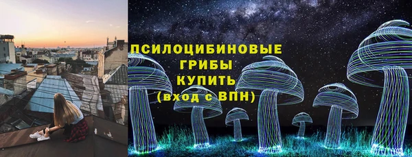 меф Няндома