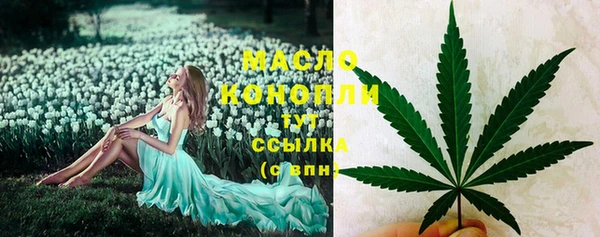 твердый Весьегонск