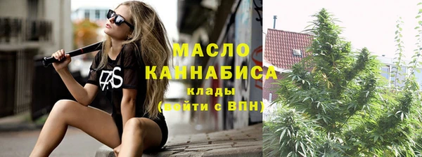 сатива Новодвинск