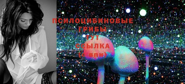 меф Няндома
