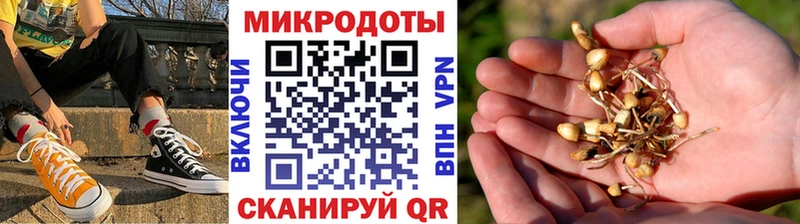 Псилоцибиновые грибы Psilocybine cubensis Белореченск