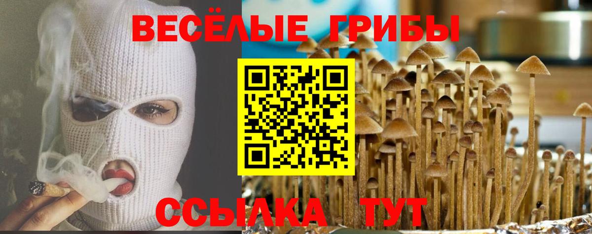 Галлюциногенные грибы Magic Shrooms  Вход с VPN  Псилоцибиновые грибы ЛСД  Белореченск 
