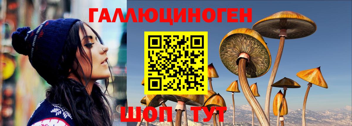 Псилоцибиновые грибы мицелий  Белореченск 